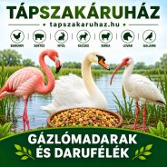 Gázlómadarak és darufélék